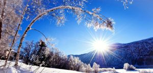 Sunny Winter Day HD Desktop Background